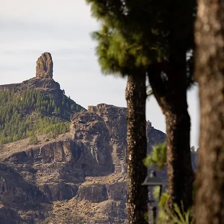 بيت للعطل Casa Maruca With Roque Nublo View *